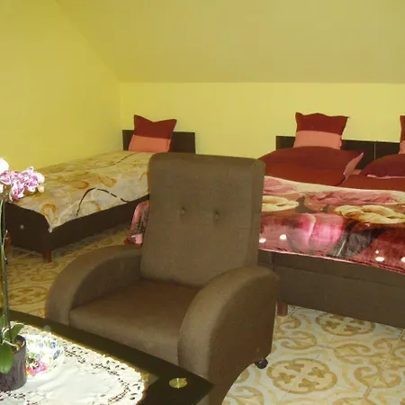 Guest house Somodi Vendeghaz *
